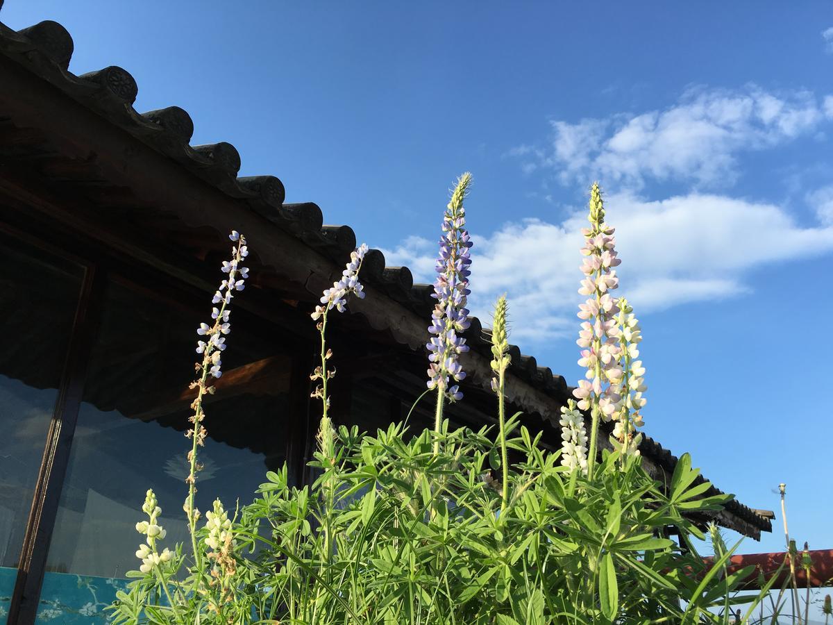 Ooh Countryard Inn Dali  Dış mekan fotoğraf