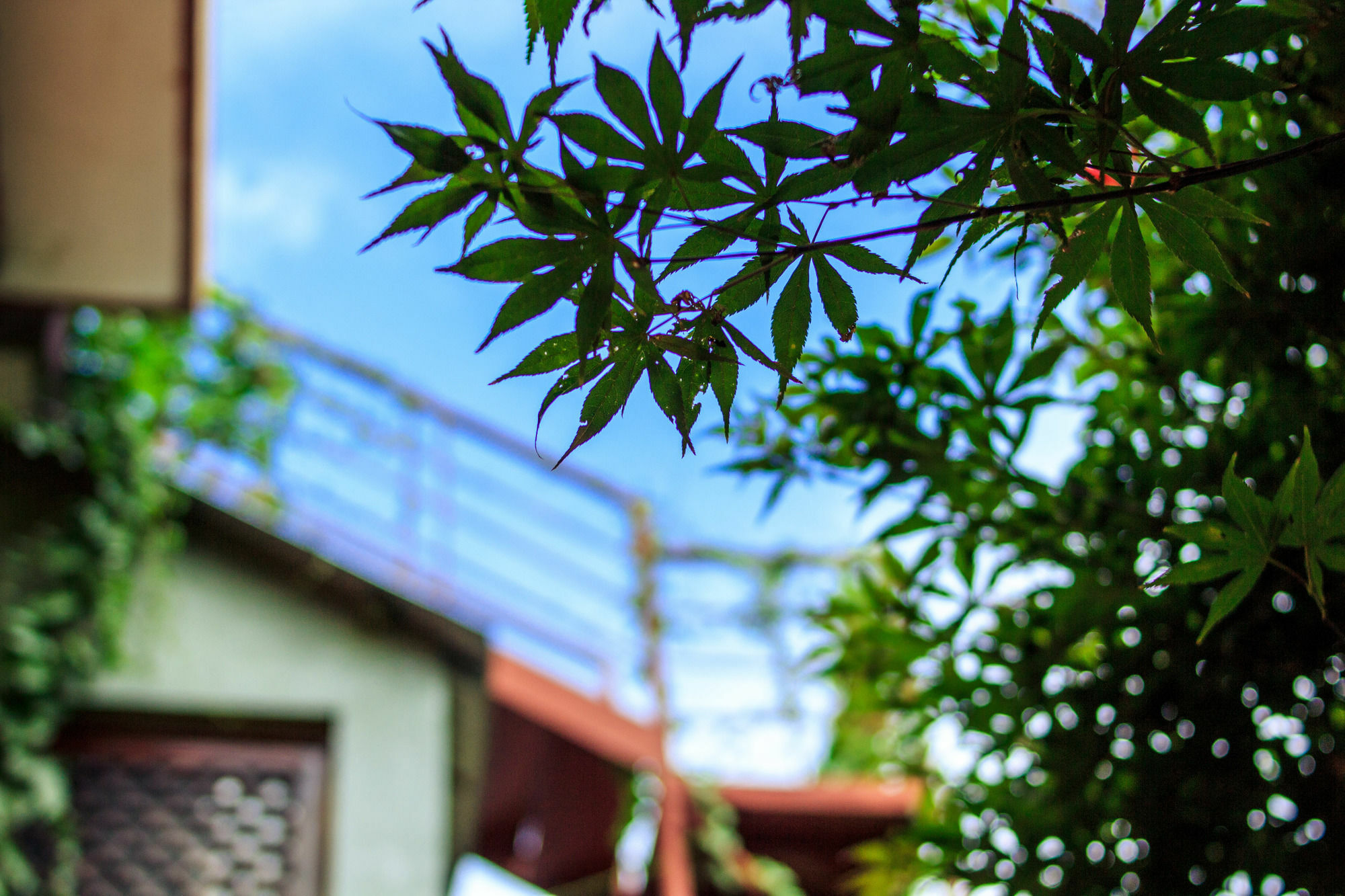 Ooh Countryard Inn Dali  Dış mekan fotoğraf