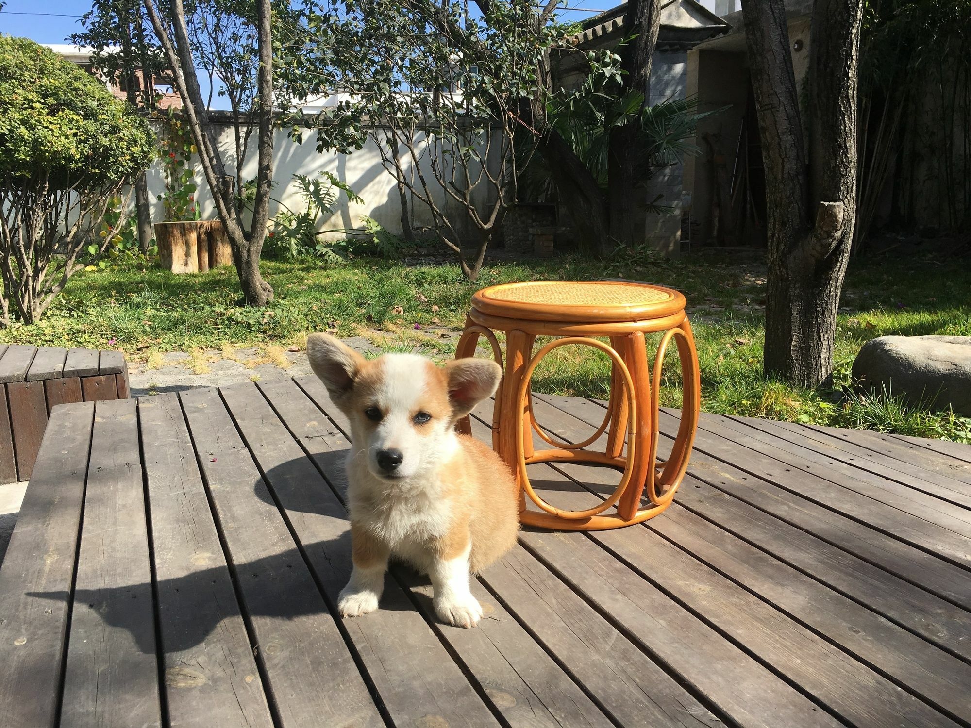 Ooh Countryard Inn Dali  Dış mekan fotoğraf