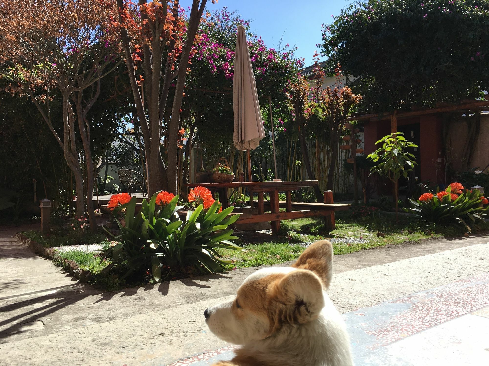 Ooh Countryard Inn Dali  Dış mekan fotoğraf