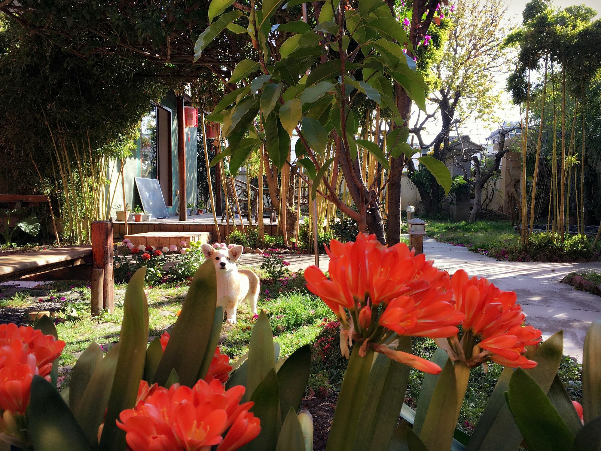 Ooh Countryard Inn Dali  Dış mekan fotoğraf